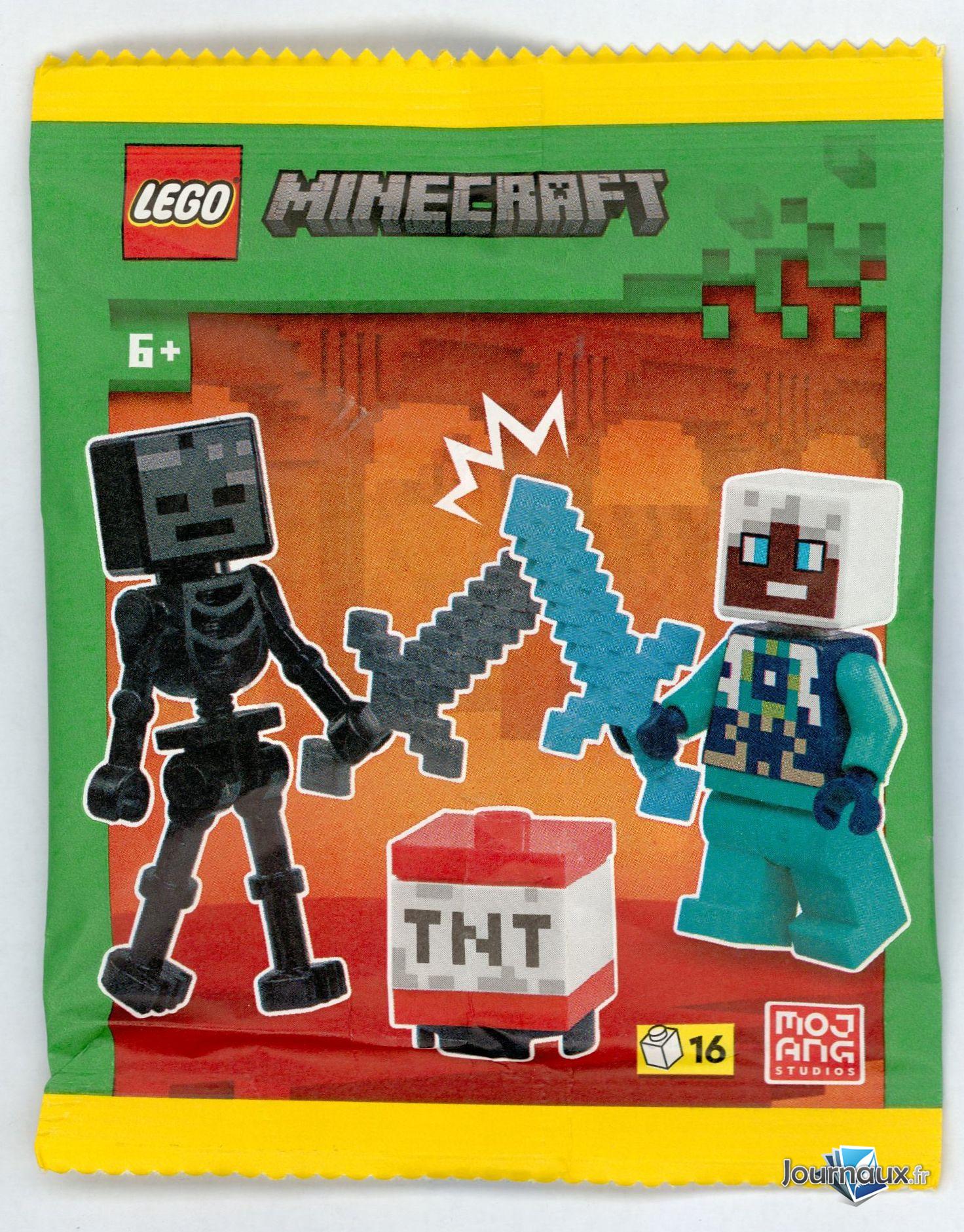 Lego Minecraft n° 15 2025-06-06
