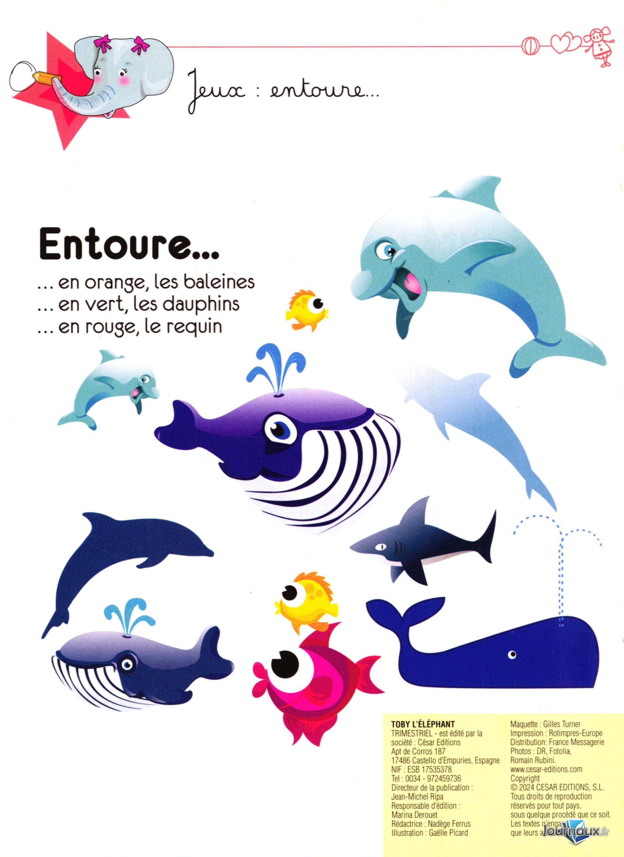Toby n° 1 2024-03-22