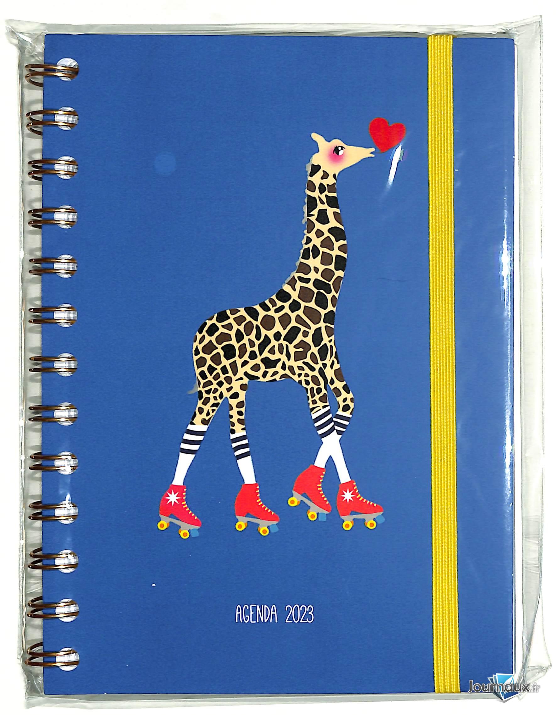 Biba + carnet n° 509 2022-12-01