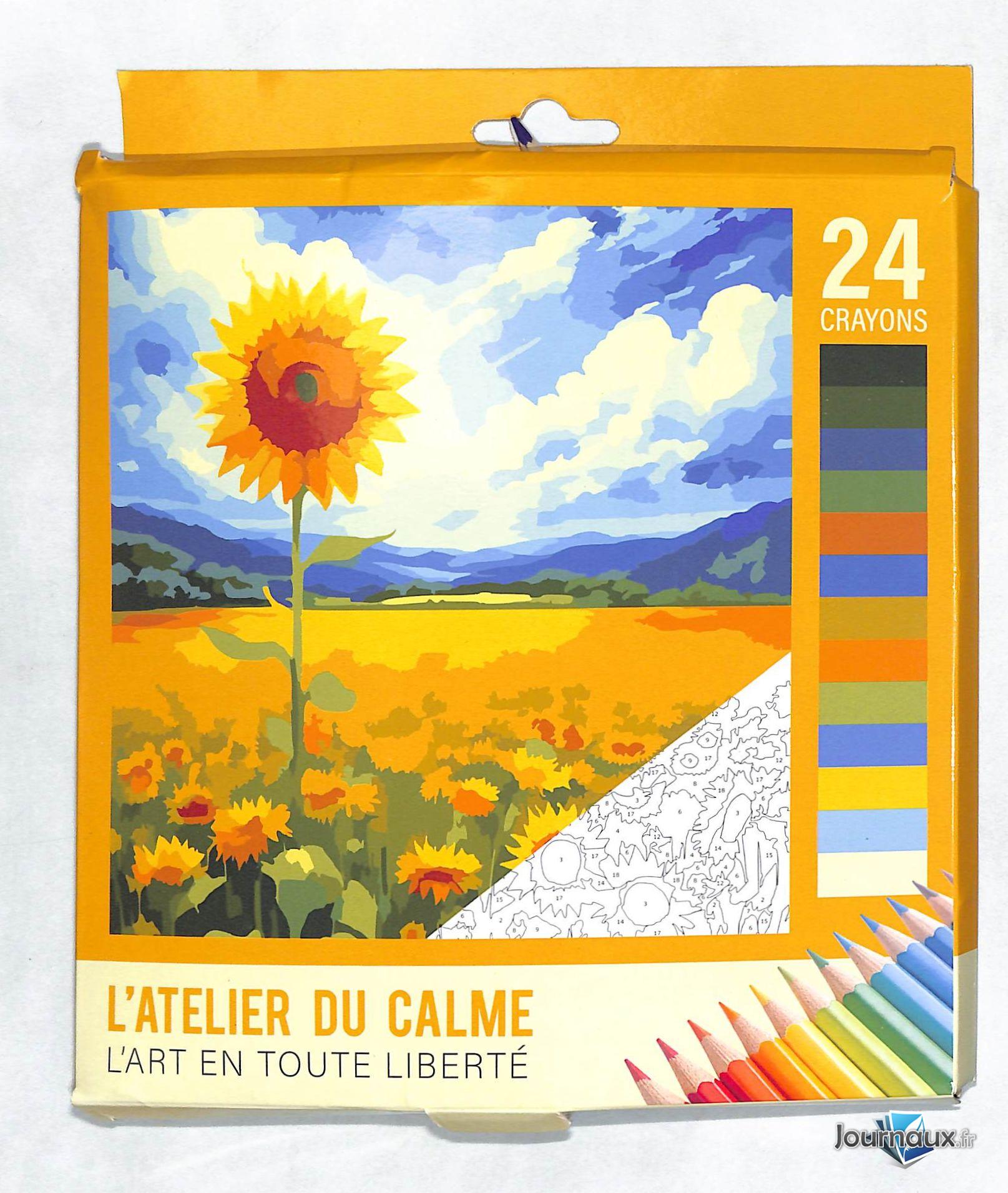 Coloriage pour adultes  n° 5 2026-03-27