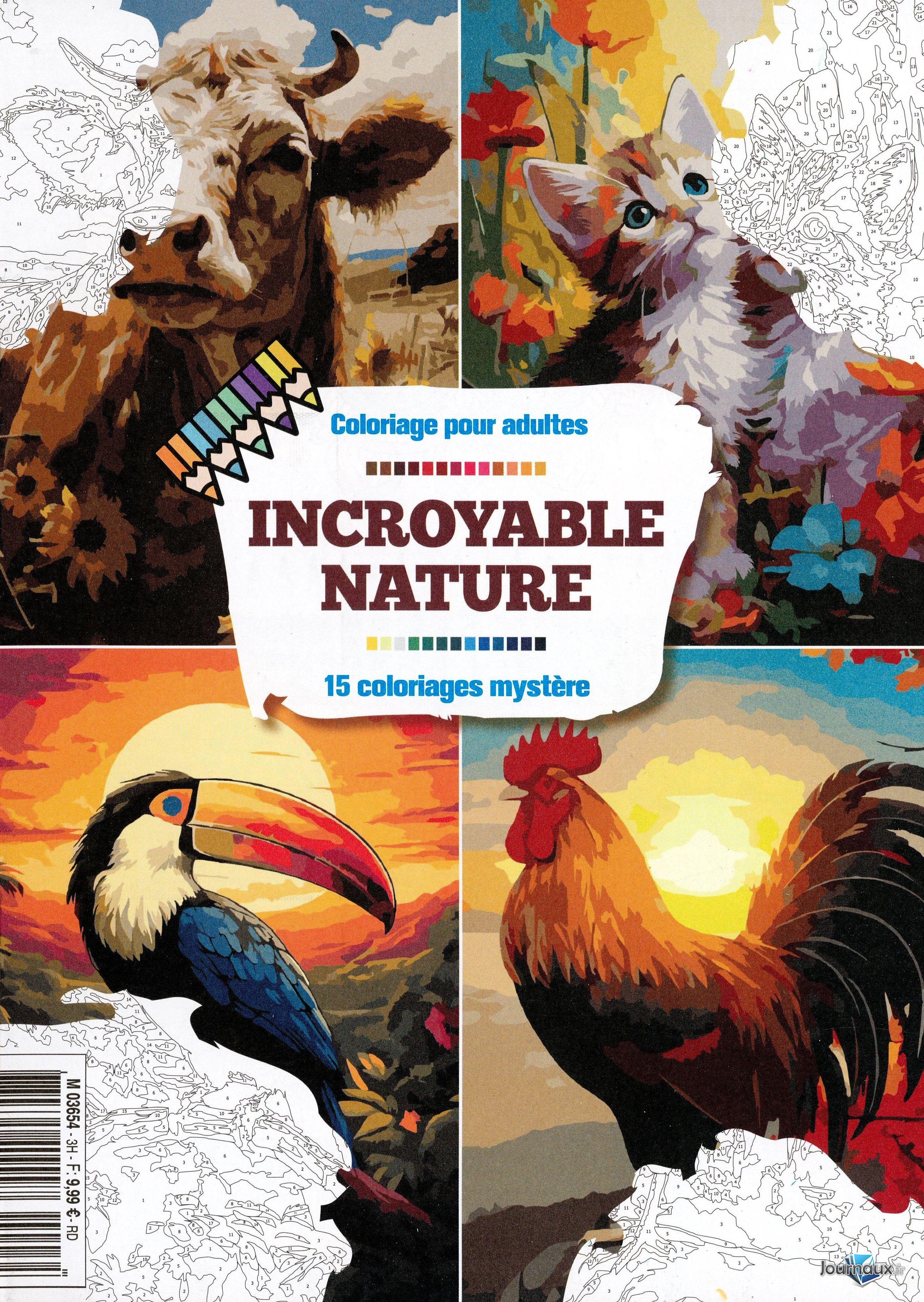 Coloriage pour adultes  n° 5 2026-03-27