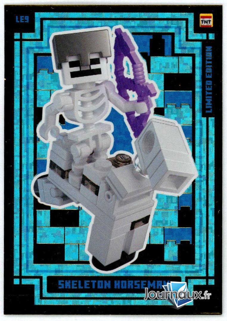 Lego Minecraft + Jouet n° 17 2026-01-15