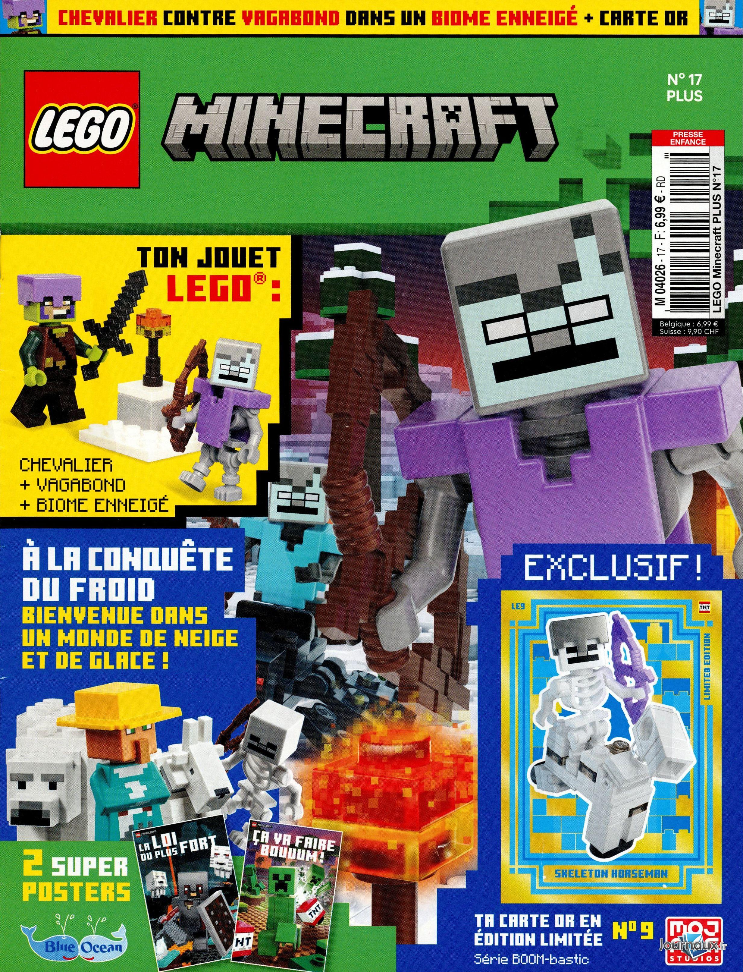 Lego Minecraft + Jouet n° 17 2026-01-15