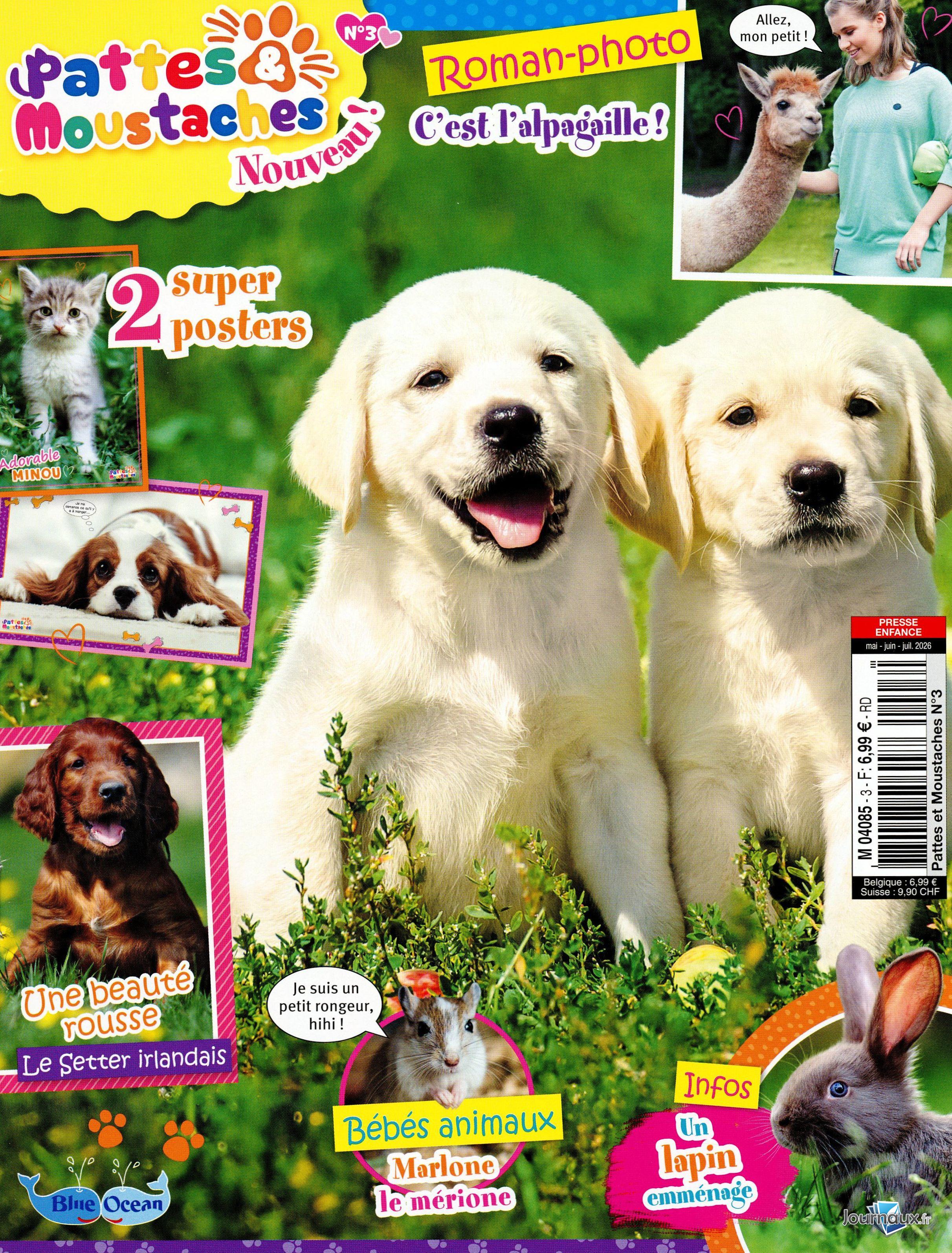 Pattes et Moustaches n° 3 2026-05-05