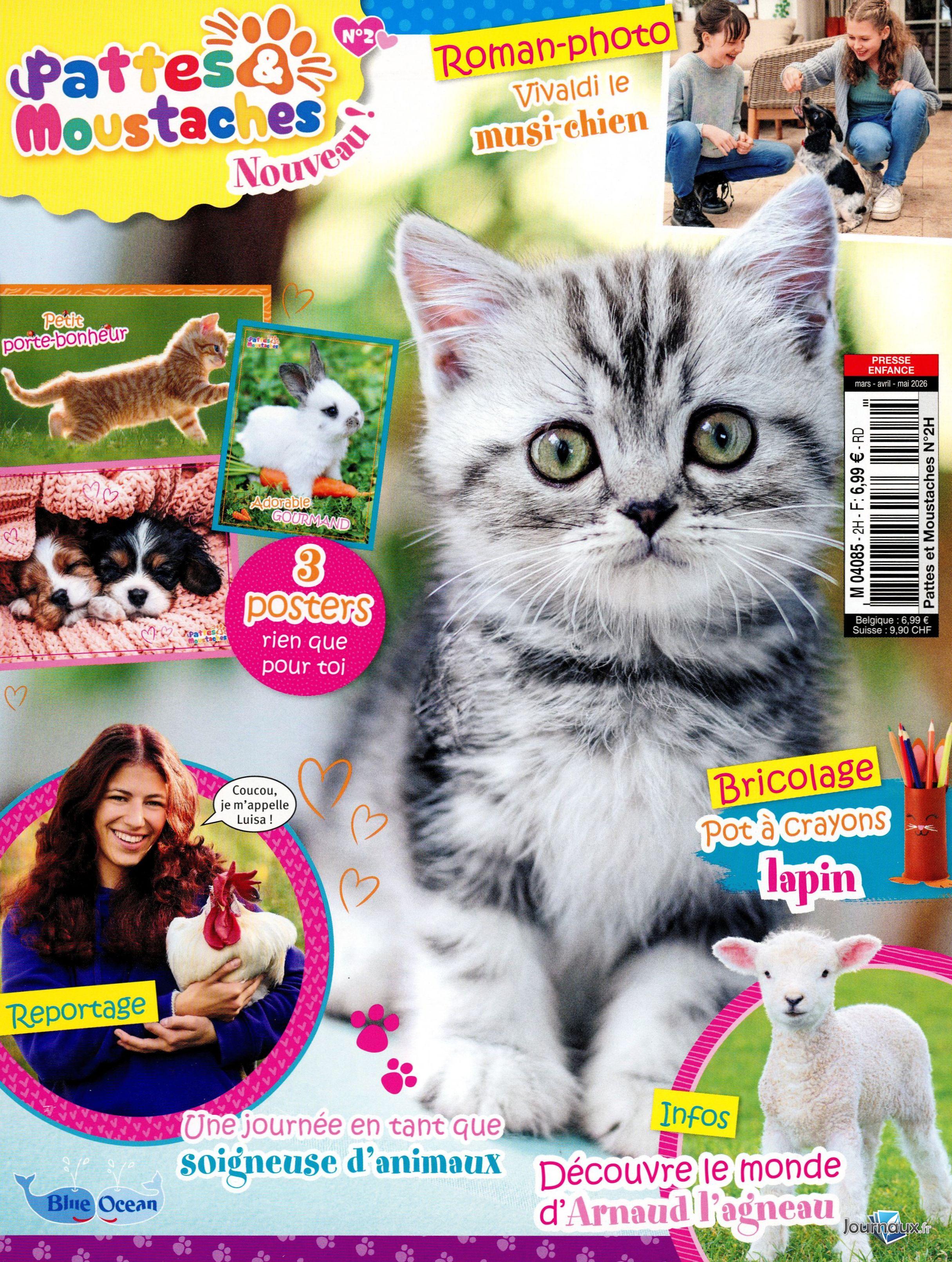 Pattes moustaches n° 2 2026-02-17
