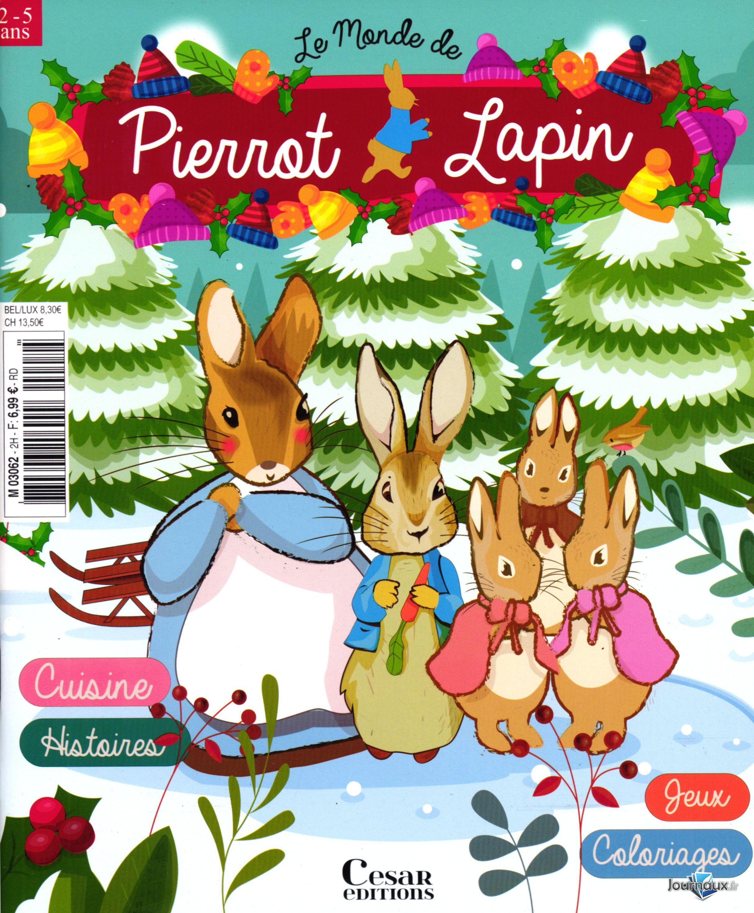 Pack 2 Magazines Pierrot Lapin n° 1 2025-08-08