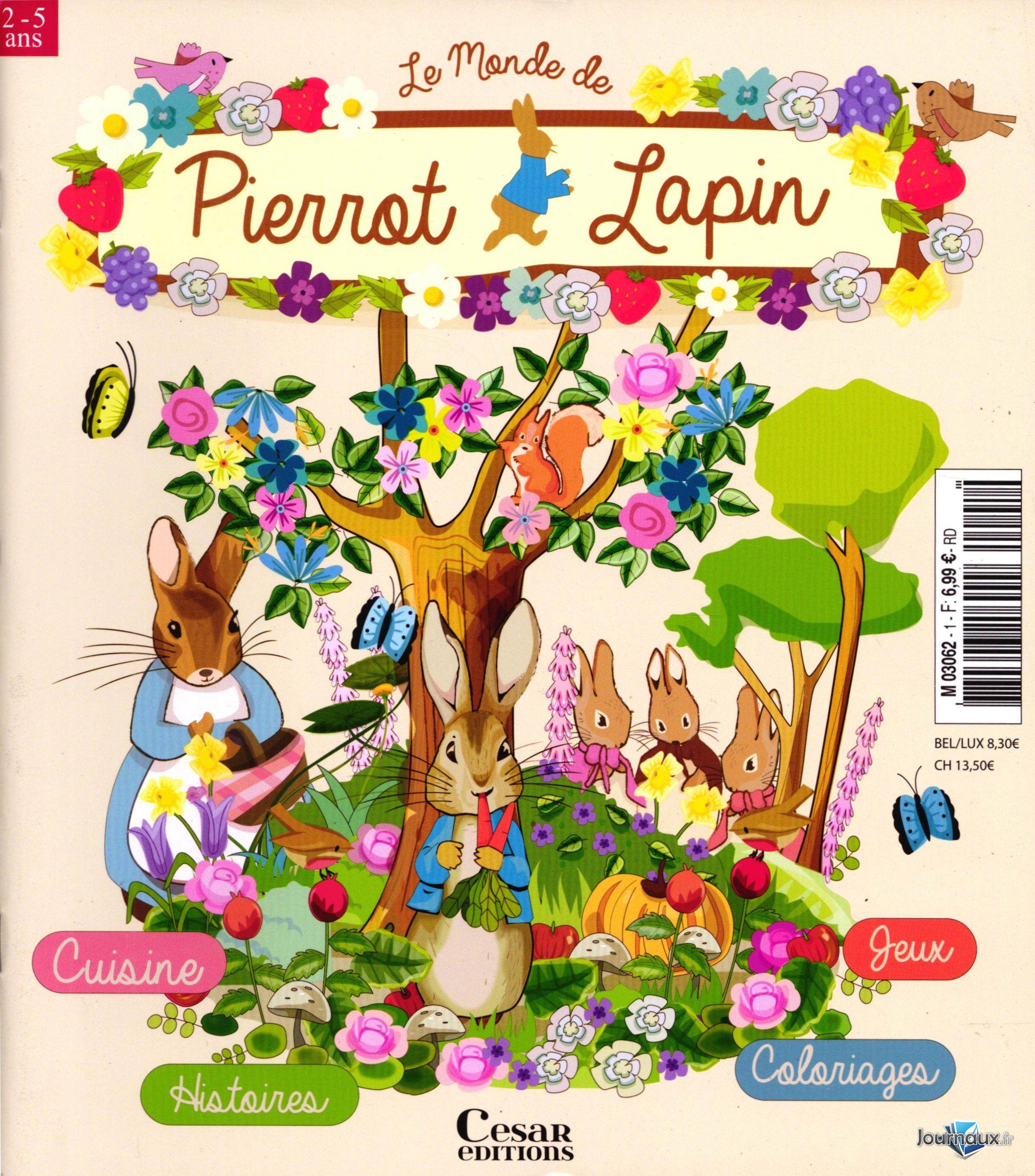 Pack 2 Magazines Pierrot Lapin n° 1 2025-08-08