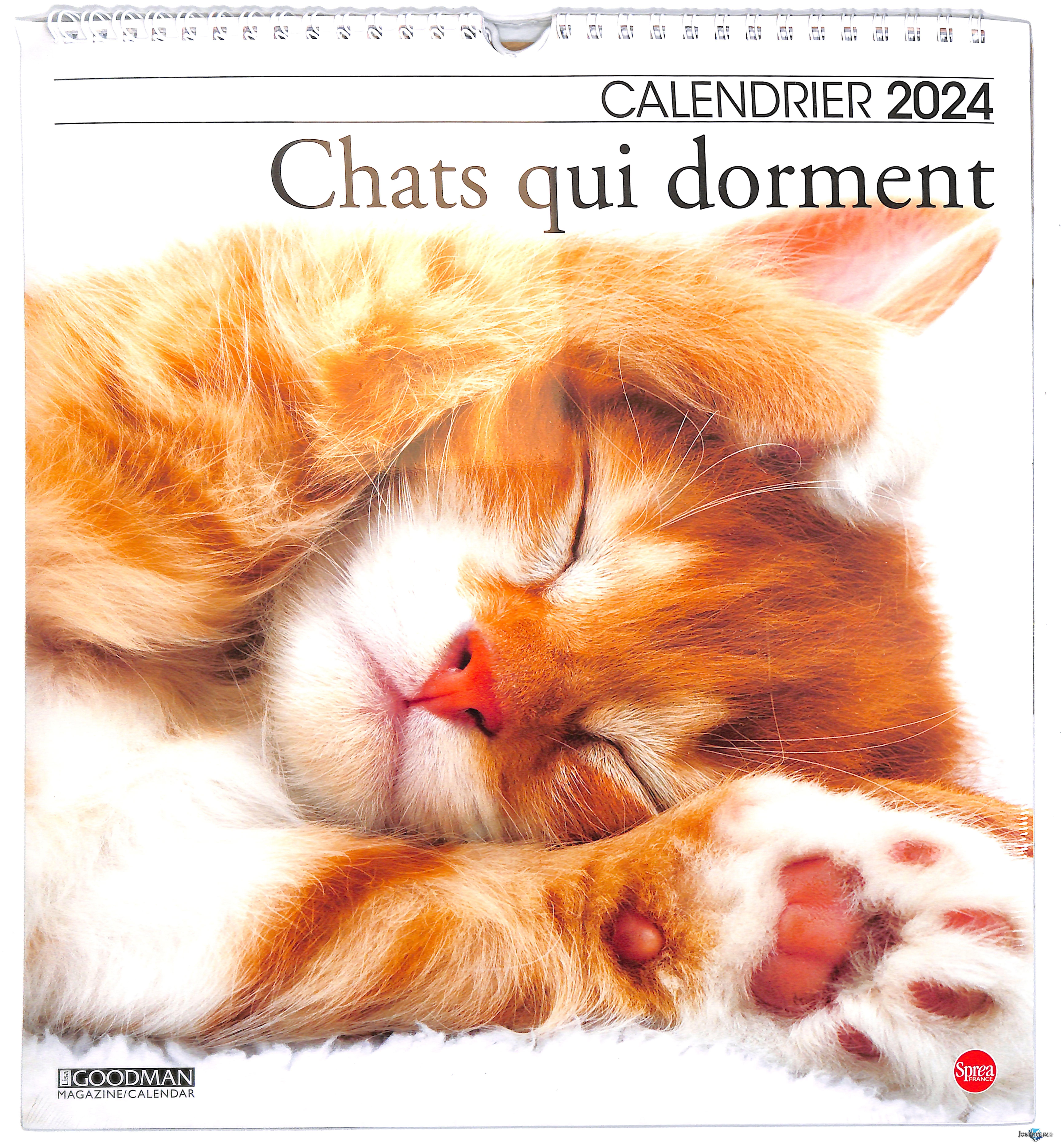  Calendrier 2024 Chats qui dorment