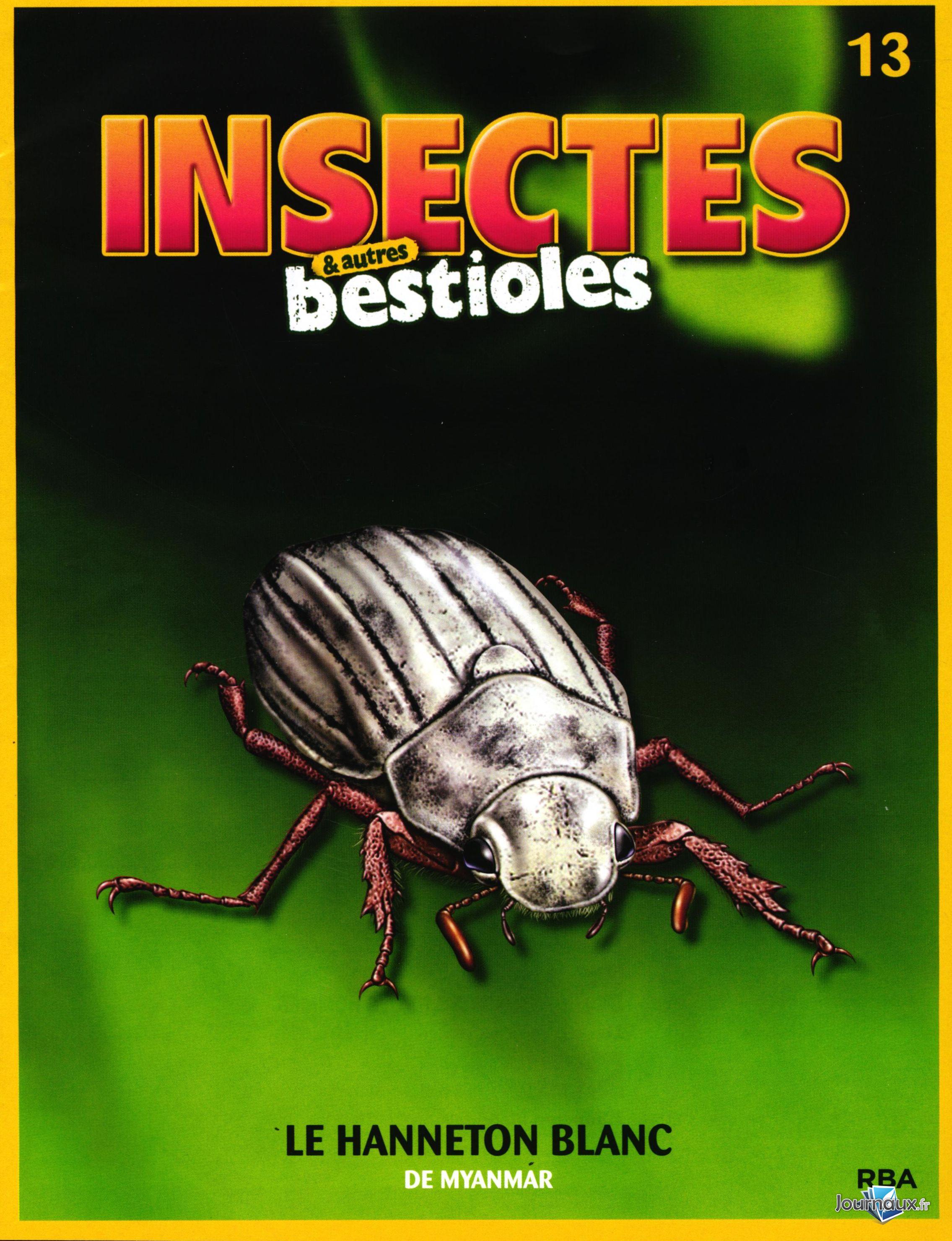 Www Journaux Fr Le Hanneton Blanc De Myanmar