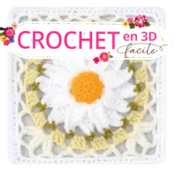 Crochet en 3D facile